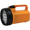 Dorcy(R) 41 2082 160-Lumen 13-LED Lantern