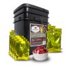 120 Serving Wise Fruit Buckets