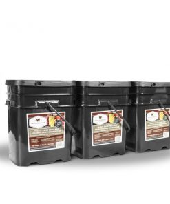 NEW 360 Serving Wise Fruit Bucket
